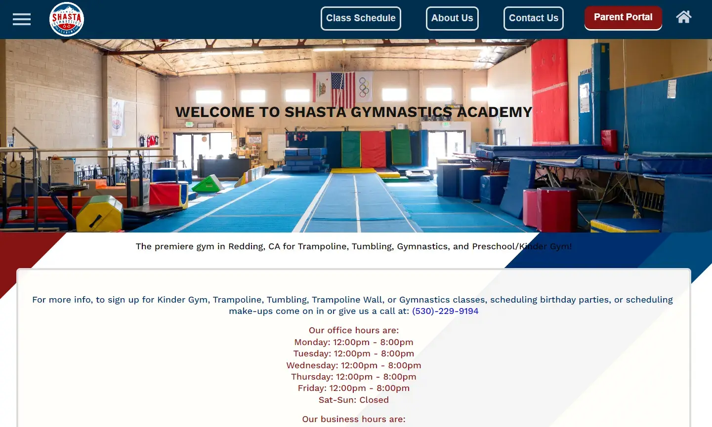 Website Homepage